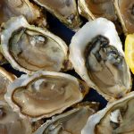 Il Mediterraneo potrebbe perdere ostriche e cozze entro il 2050 a causa dei cambiamenti nel mare